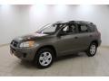 Pyrite Metallic - RAV4 I4 4WD Photo No. 3