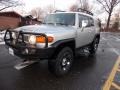 Titanium Metallic - FJ Cruiser 4WD Photo No. 1