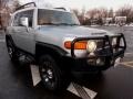 Titanium Metallic - FJ Cruiser 4WD Photo No. 7
