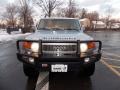 Titanium Metallic - FJ Cruiser 4WD Photo No. 8