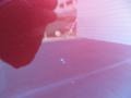 Cayenne Red - Titan S Crew Cab Photo No. 22