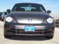 Platinum Gray Metallic - Beetle TDI Photo No. 2