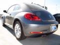 Platinum Gray Metallic - Beetle TDI Photo No. 4