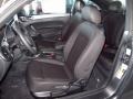 Platinum Gray Metallic - Beetle TDI Photo No. 13