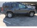 Night Armor Pearl - Xterra SE Photo No. 9