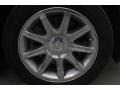 Brilliant Black Crystal Pearl - 300 C HEMI Photo No. 9