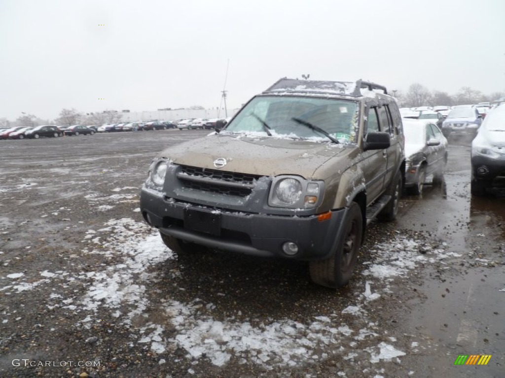 2002 Xterra SE V6 4x4 - Gold Rush Metallic / Gray Celadon photo #3