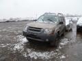 2002 Gold Rush Metallic Nissan Xterra SE V6 4x4  photo #3