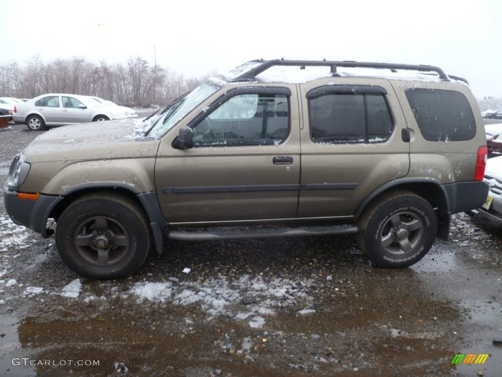 2002 Xterra SE V6 4x4 - Gold Rush Metallic / Gray Celadon photo #4