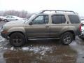 2002 Gold Rush Metallic Nissan Xterra SE V6 4x4  photo #4