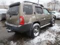 2002 Gold Rush Metallic Nissan Xterra SE V6 4x4  photo #6