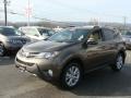Pyrite Mica - RAV4 Limited AWD Photo No. 3