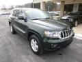 Natural Green Pearl - Grand Cherokee Laredo 4x4 Photo No. 2