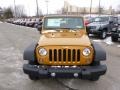 2014 Amp'd Jeep Wrangler Unlimited Sport 4x4  photo #3