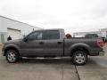 Sterling Grey 2014 Ford F150 XLT SuperCrew Exterior