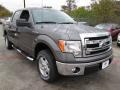 2014 Sterling Grey Ford F150 XLT SuperCrew  photo #6