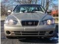 2002 Champagne Beige Hyundai Elantra GLS Sedan  photo #2