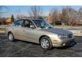 2002 Champagne Beige Hyundai Elantra GLS Sedan  photo #8