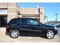 Black - ML 350 4Matic Photo No. 2