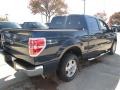 2014 Blue Jeans Ford F150 XLT SuperCrew  photo #5