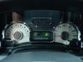 White Platinum - Expedition King Ranch Photo No. 12