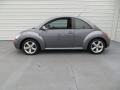 Platinum Grey 2006 Volkswagen New Beetle TDI Coupe Exterior