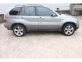Sterling Grey Metallic - X5 4.4i Photo No. 10