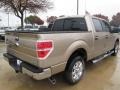 2013 Pale Adobe Metallic Ford F150 XLT SuperCrew  photo #5