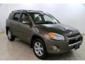 Pyrite Metallic - RAV4 V6 Limited 4WD Photo No. 1