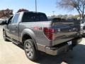 2013 Sterling Gray Metallic Ford F150 FX4 SuperCrew 4x4  photo #3