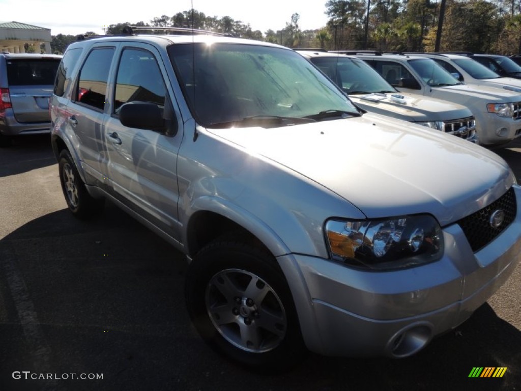 Silver Metallic Ford Escape