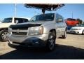 Silverstone Metallic 2006 Chevrolet TrailBlazer LS