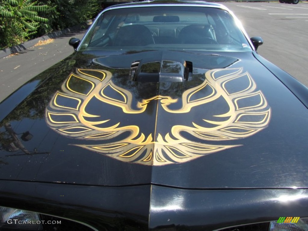 1977 Firebird Trans Am Coupe - Black / Black photo #6