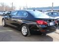 Black Sapphire Metallic - 5 Series 528i xDrive Sedan Photo No. 5