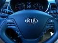 2014 Steel Blue Kia Forte EX  photo #26