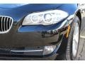 Black Sapphire Metallic - 5 Series 528i xDrive Sedan Photo No. 30