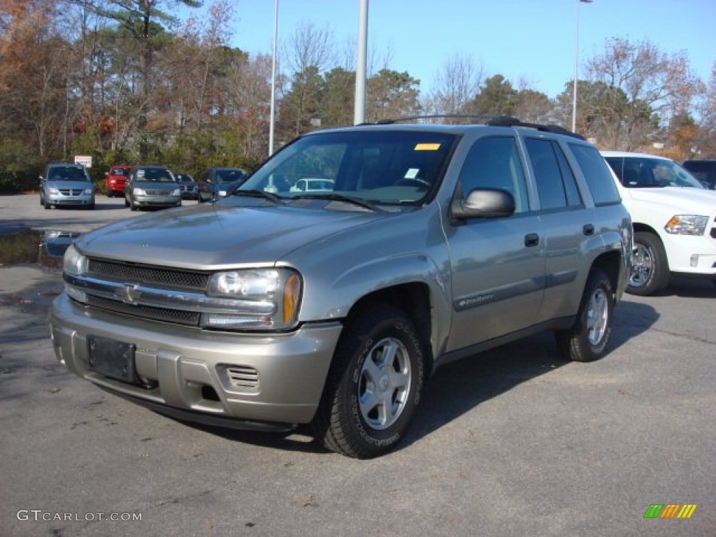 2003 TrailBlazer LS - Light Pewter Metallic / Medium Pewter photo #7