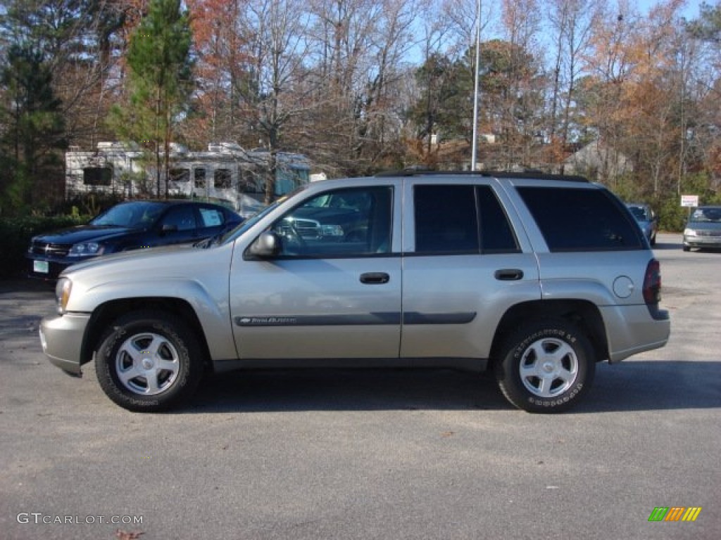 2003 TrailBlazer LS - Light Pewter Metallic / Medium Pewter photo #8