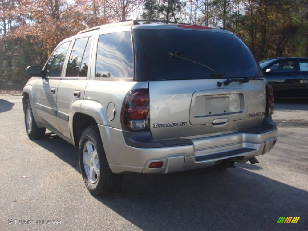 2003 TrailBlazer LS - Light Pewter Metallic / Medium Pewter photo #9