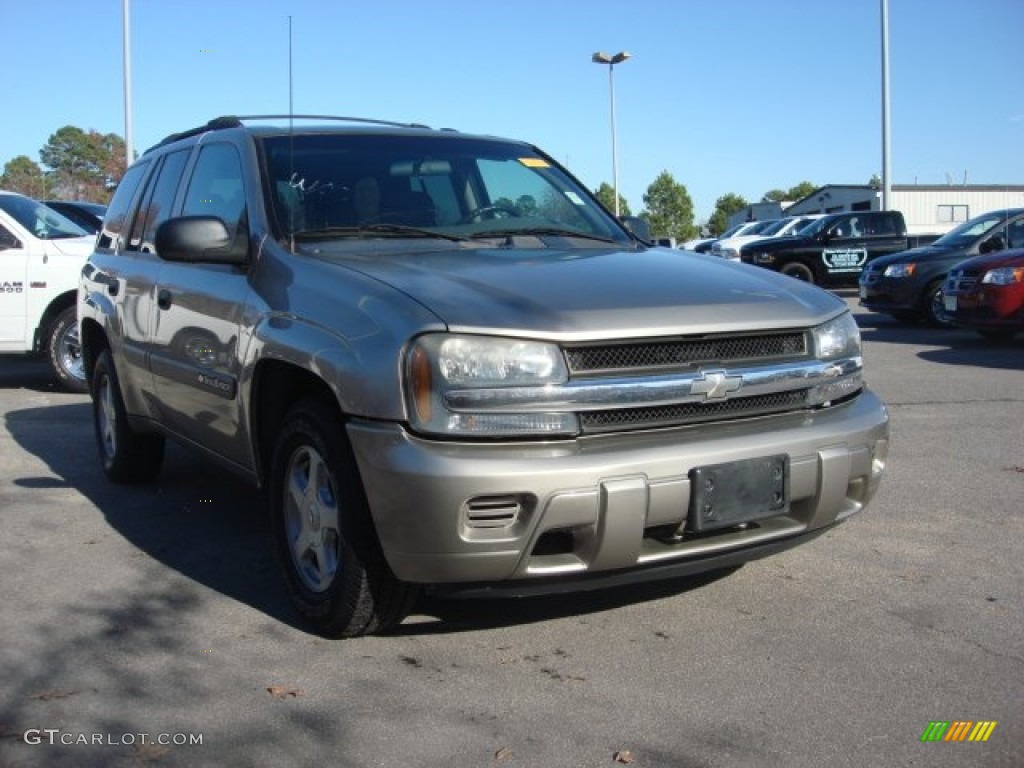 2003 TrailBlazer LS - Light Pewter Metallic / Medium Pewter photo #14