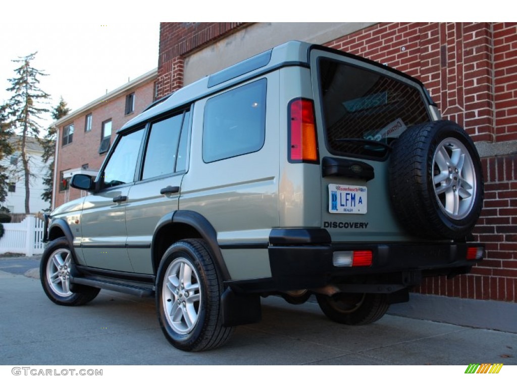 2003 Discovery SE - Vienna Green / Alpaca Beige photo #3