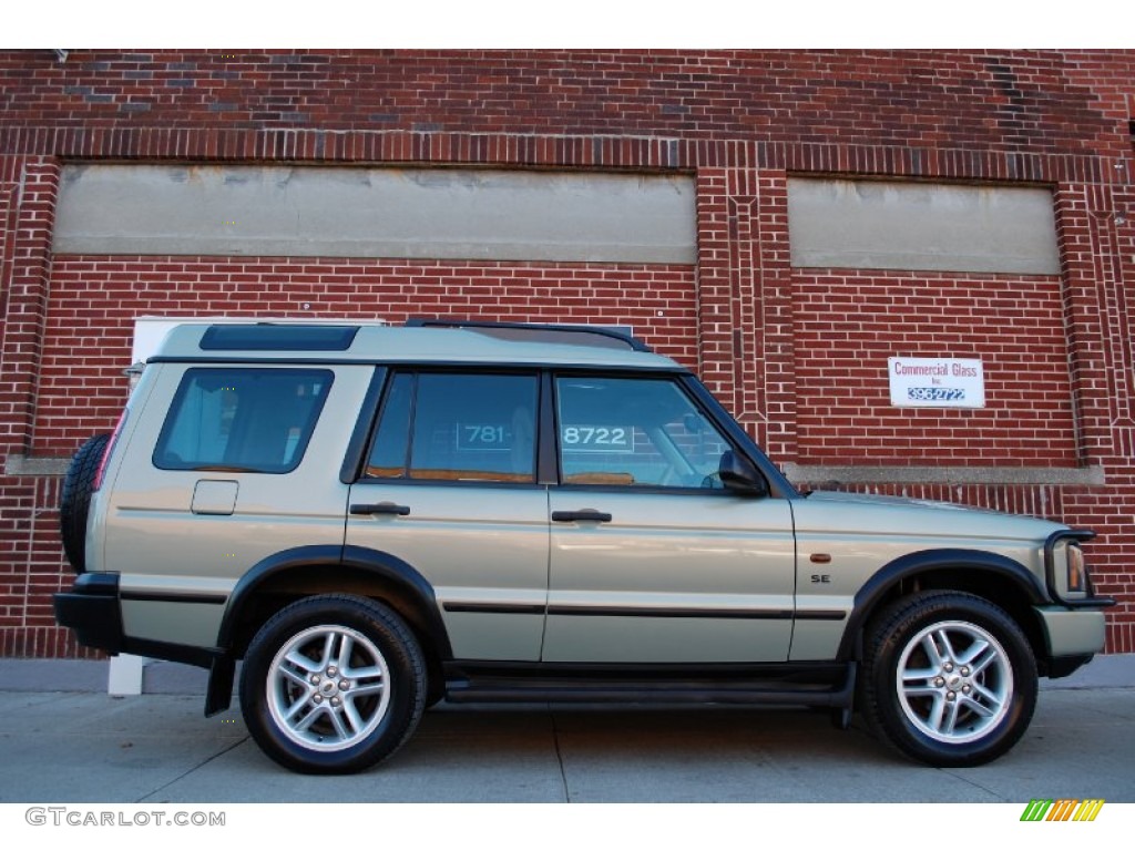 2003 Discovery SE - Vienna Green / Alpaca Beige photo #6