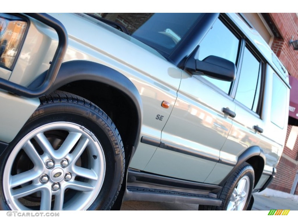2003 Discovery SE - Vienna Green / Alpaca Beige photo #13