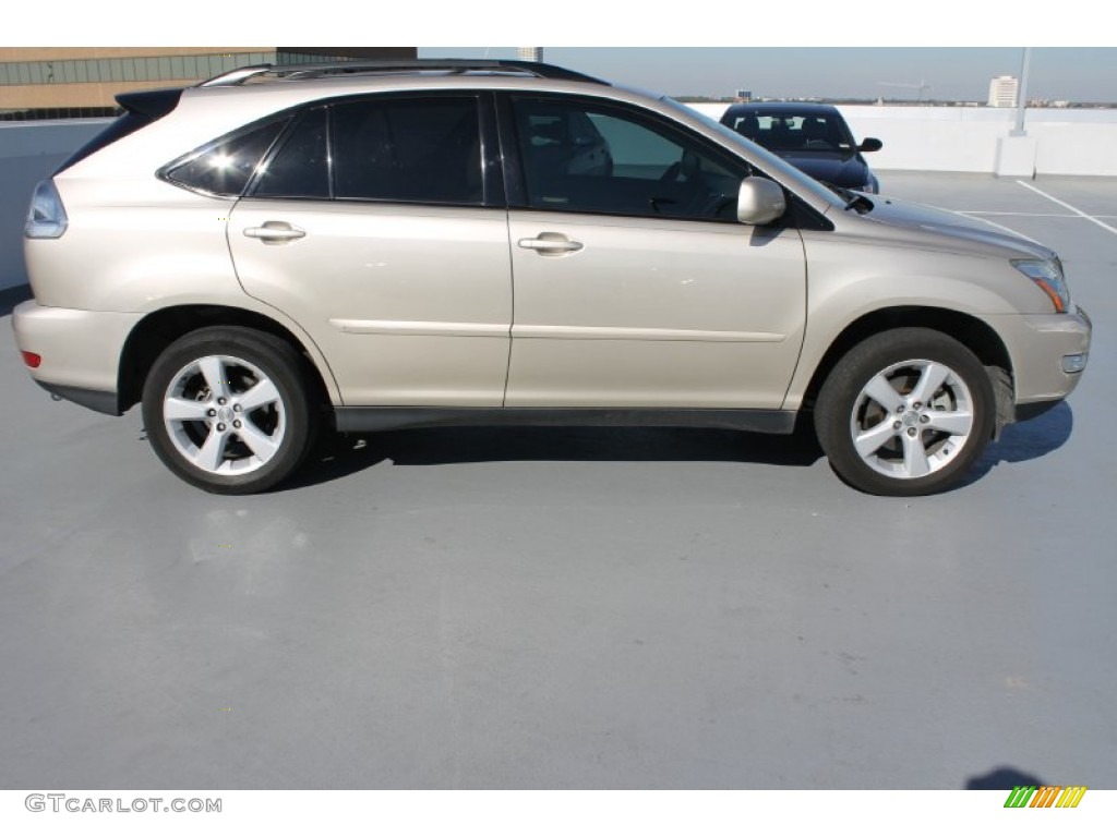 2006 RX 330 - Savannah Metallic / Ivory photo #10