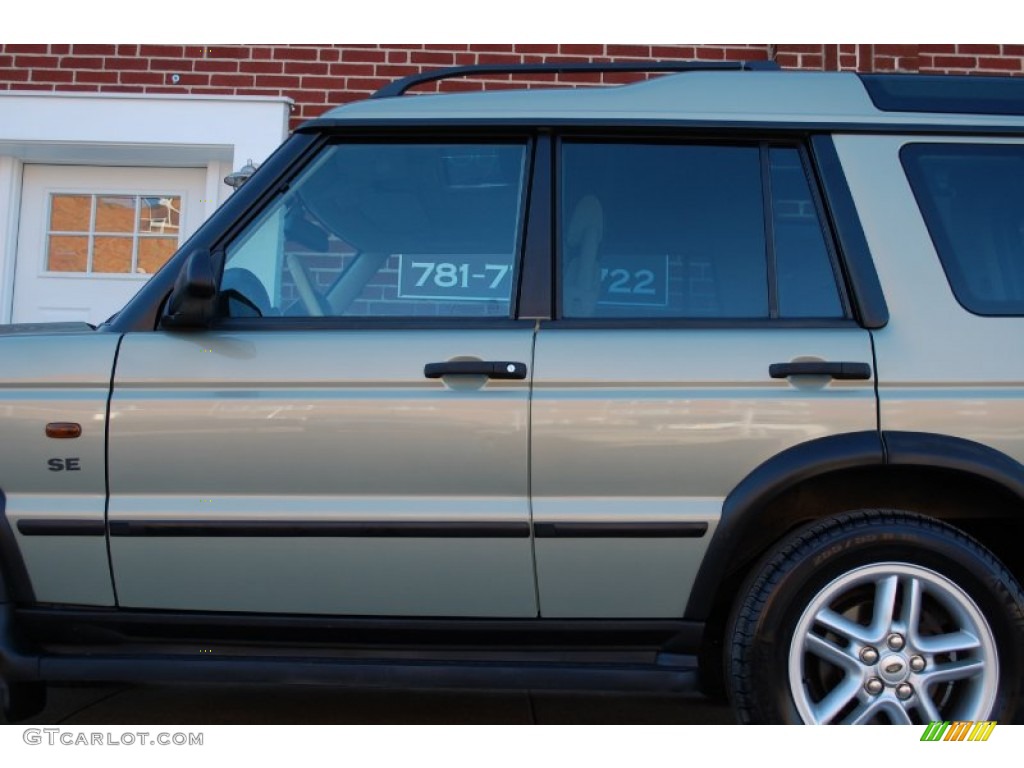 2003 Discovery SE - Vienna Green / Alpaca Beige photo #25