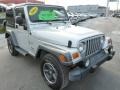 2004 Bright Silver Metallic Jeep Wrangler X 4x4  photo #10