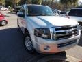 2013 Sterling Gray Ford Expedition Limited  photo #1
