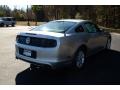 Ingot Silver - Mustang V6 Coupe Photo No. 5