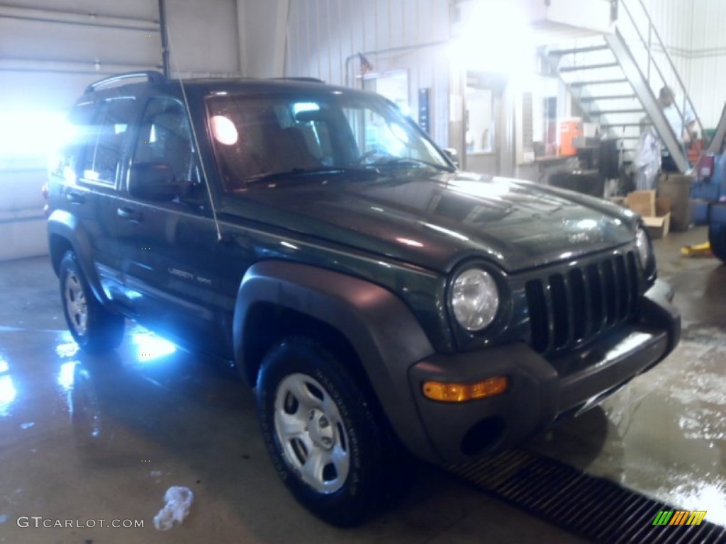 2003 Liberty Sport 4x4 - Shale Green Metallic / Dark Slate Gray photo #1