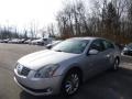 2004 Liquid Silver Metallic Nissan Maxima 3.5 SL  photo #1